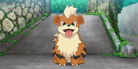 Pokemon GO: Can Growlithe Be Shiny?