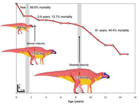 Pachycephalosaurus Size