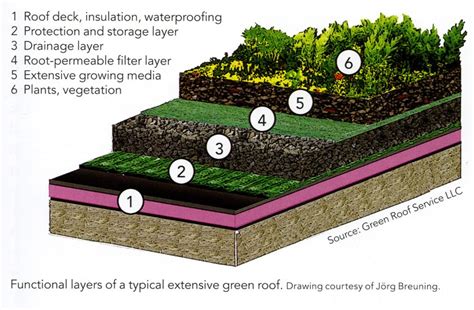 Green Roof System Components