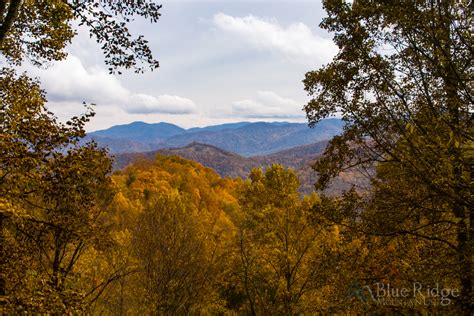 Fall Foliage 2019 Forecast and Guide - Blue Ridge Mountain Life