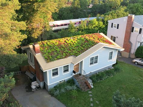 Recover Green Roofs Will Turn Your Regular Old Roof into a Lush Garden