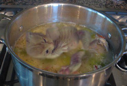 Cat Soup by ShoobyD on DeviantArt