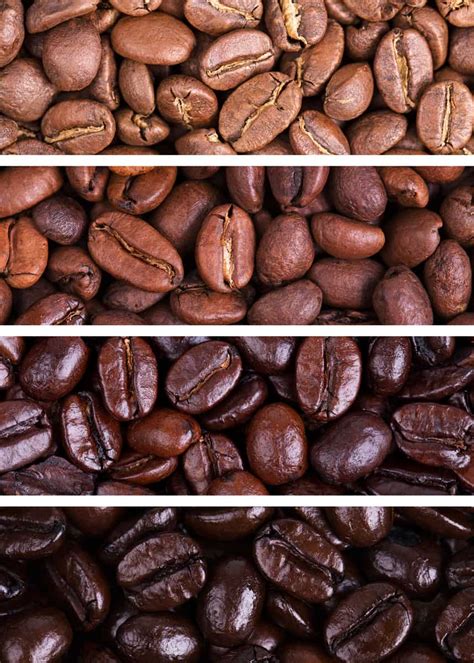 79 Types of Coffee (Definitive Guide) Drinks, Beans, Names, Roasts ...