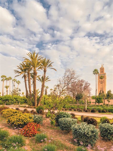 Visit Marrakesh's gardens | Evaneos