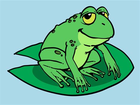 How to Draw a Cartoon Frog: 10 Steps (with Pictures) - wikiHow