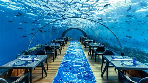 5.8 Undersea Restaurant – Maldives underwater restaurant