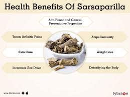 Sarsaparilla Benefits - Ever Living Herbs