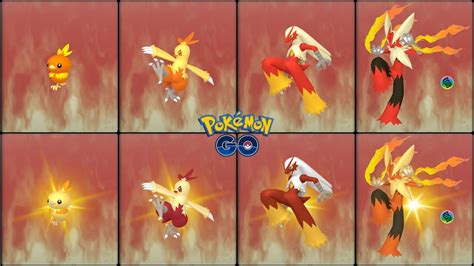 Pokemon GO : Evolving Normal &Shiny Torchic into Normal &Shiny ...