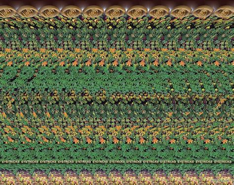 3D Stereograms - Brought to you by eyetricks.com.