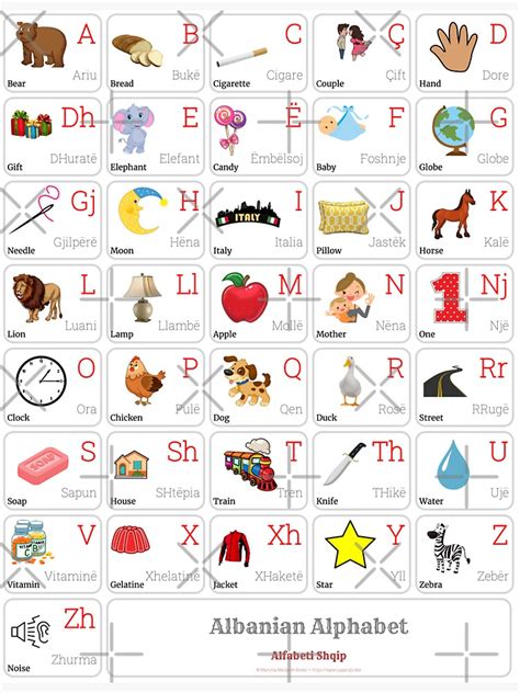 "ALBANIAN Alphabet CHART with Words and English Translations Printable ...