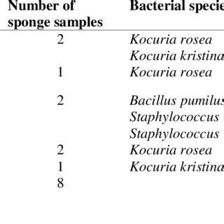 Sponge classification | Download Table