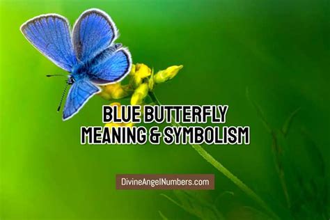 Blue Butterfly Meaning: Powerful Spiritual Significance