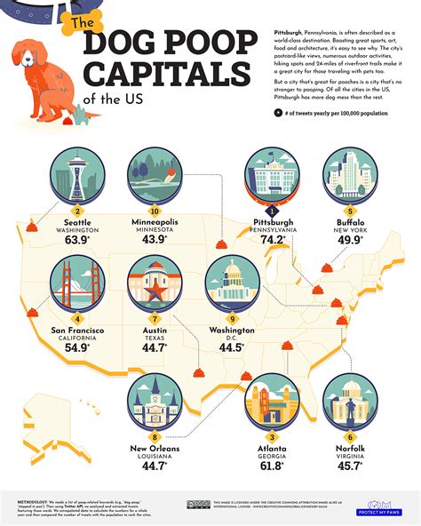 The Dog Poop Capitals, Mapped - Vivid Maps