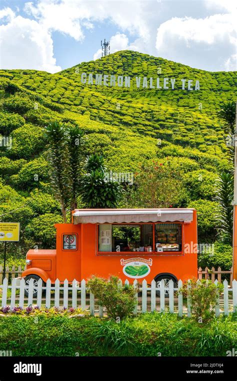 Tea Plantation Cameron Highlands (Cameron Valley Stock Photo - Alamy