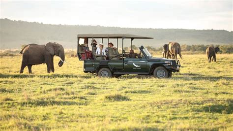 Game Drive Safari in Maasai Mara National Reserve | Kenya Safaris