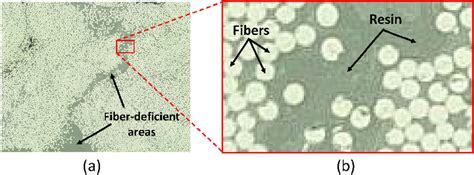 (a) Transverse optical microscope image, and (b) a close-up, showing a ...