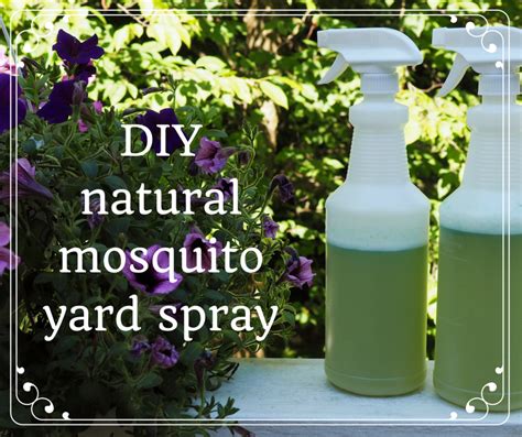 How Do You Make Homemade Mosquito Killer Spray - Homemade Bug Spray ...