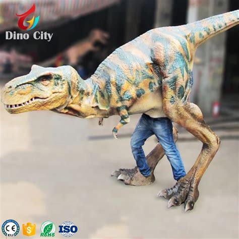 Dorothy The Dinosaur Mascot Costume For Christmas Festival - Buy ...