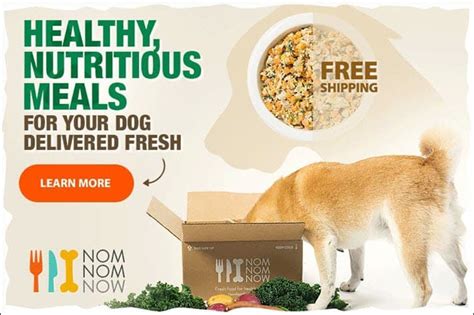 The Best Organic Dog Food Brands of 2021 - Pet Life Today