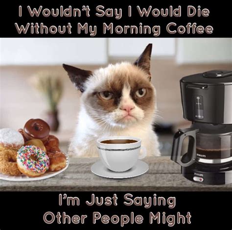 29 Funny Coffee Memes To Keep You Laughing - Craft Coffee Guru