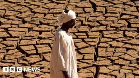 Climate change: More than 3bn could live in extreme heat by 2070 - BBC News