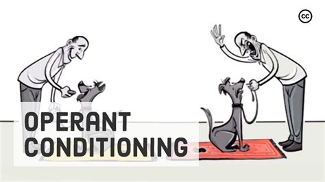 Operant Conditioning Involves a Learned Association Between