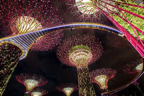 Singapore supertrees