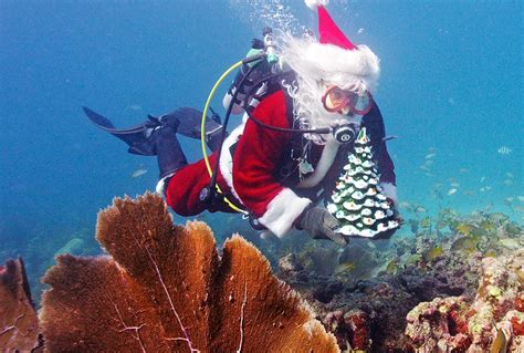 Scuba Diving Santa Claus Submerges in Florida Keys Marine Sanctuary ...