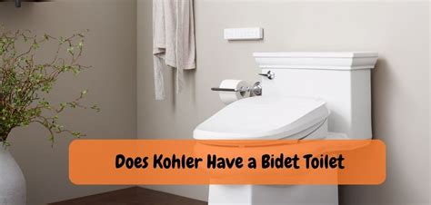 Can You Add a Bidet to a Kohler Toilet: Upgrade Toilet Experience!