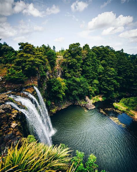 Whangarei Falls