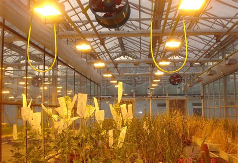 Greenhouse Lighting System - Buy Product on HUIJING GREENHOUSE