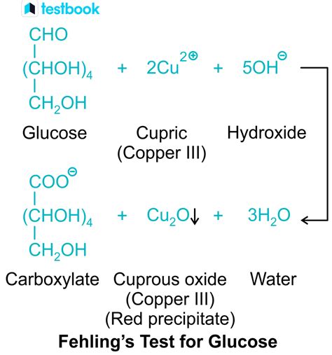Fehling’s Test: Learn Introduction, Reaction, Test and Principle