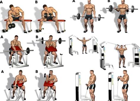 Best of 5 biceps workouts for men - building beast | Armtraining ...