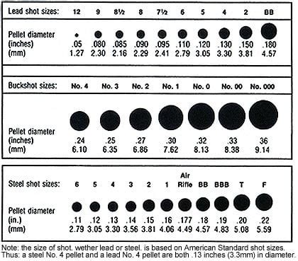 How Many Pellets Are In A 12-gauge Shotgun Shell? Quora