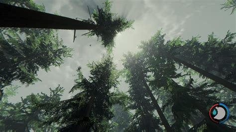 The Forest Map and Infos – Steam Solo