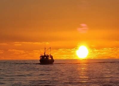 Dingle Dolphin Boat Tours