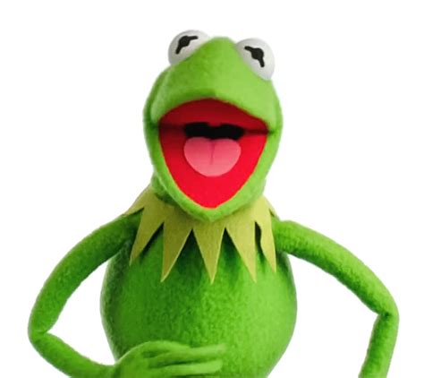 Kermit the Frog Through the Years - Muppet Wiki