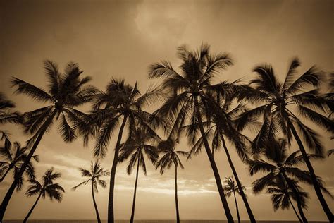 Hualalai Volcano From The Summit Photograph by Russ Bishop - Fine Art ...