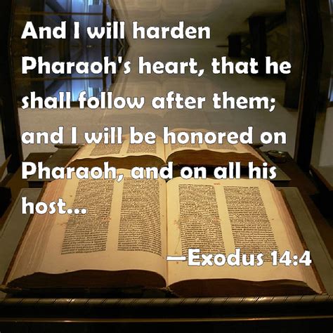 Exodus 14:4 And I will harden Pharaoh's heart, that he shall follow ...