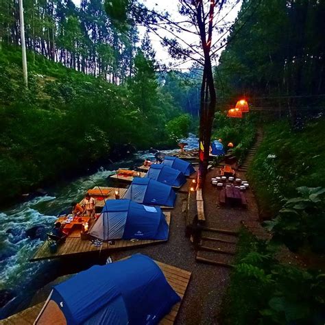 Viral Camping Hutan Pinus Bandung , Asik! - PUNCELING