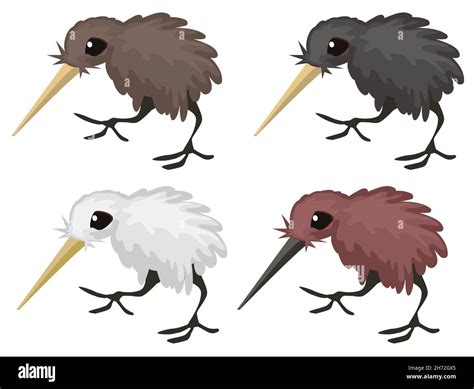 Kiwi bird cartoon design element with color variants, isolated vector ...