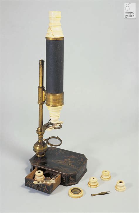 Museo Galileo - Enlarged image - Compound microscope (Inv. 3206)