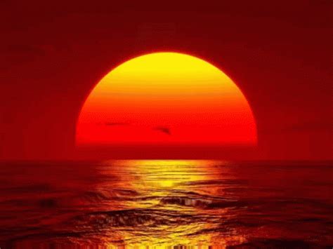 Sunshine Sunset GIF - Sunshine Sunset - Discover & Share GIFs