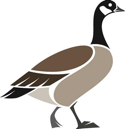 Best Wild Goose Illustrations, Royalty-Free Vector Graphics & Clip Art ...