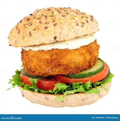 Fish Cake Sandwich stock image. Image of bread, tartar - 110446569