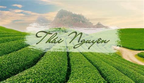 Khám phá Vườn hoa đẹp ở Thái Nguyên Theo chân các nhà nghiên cứu địa lý