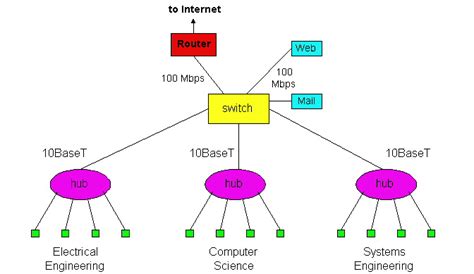 What Does a Network Switch Do in Networking?