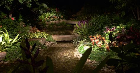 Night Garden ‹ Literary Hub