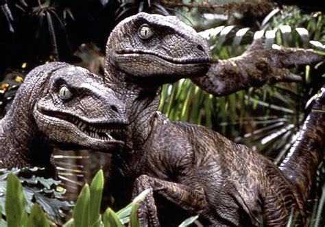 Velociraptors (Jurassic Park) | Deadliest Fiction Wiki | Fandom