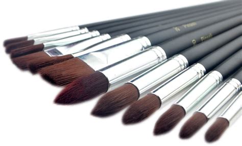 Paint Brushes - 12 Piece Artist Paint Brush Set for Oil Painting ...